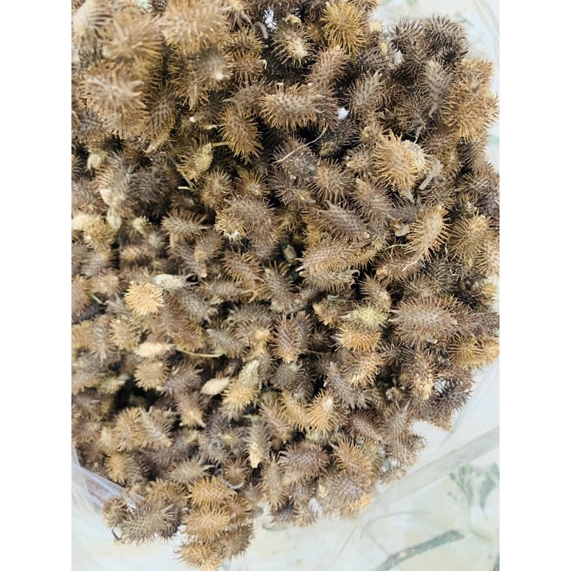 Ké đầu ngựa 1kg