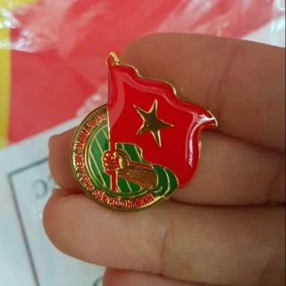 Huy Hiệu Đoàn Việt Nam