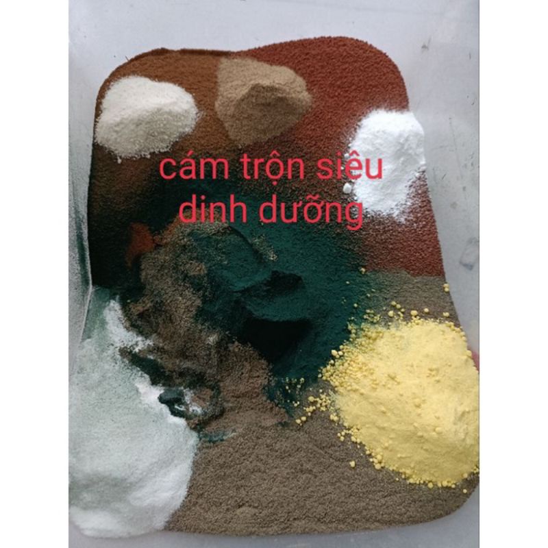 Cám Trộn 10 Thành Phần Siêu Dinh Dưỡng Cho Cá Cảnh