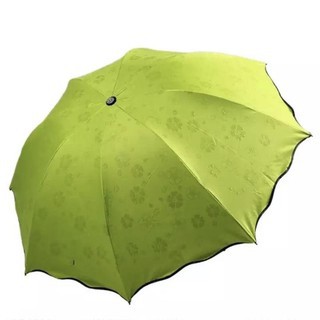 Ô dù  ☔☔ ma thuật gặp nước nở hoa ☔☔
