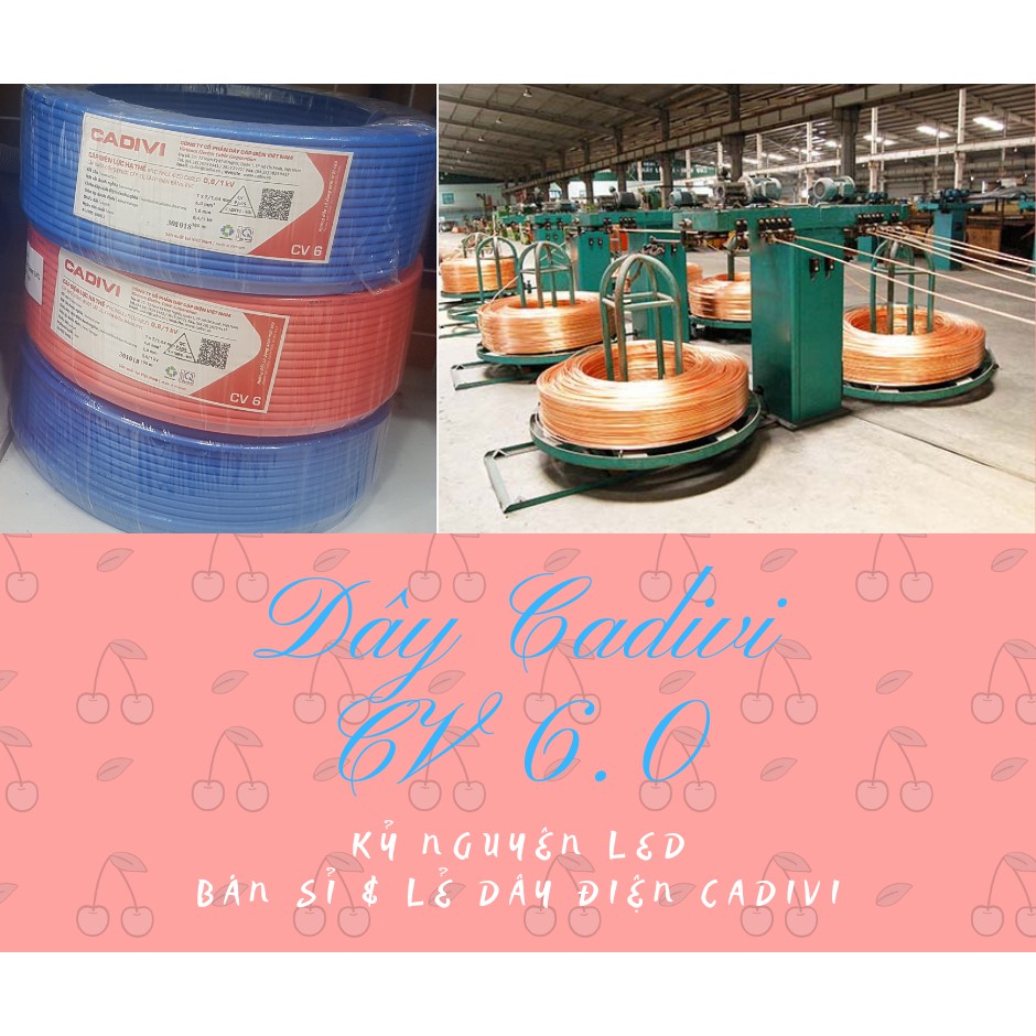 Dây điện đơn Cadivi CV 6.0