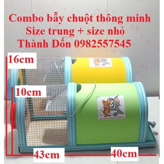 Combo 02 Bẫy chuột thông minh – size trung + nhỏ