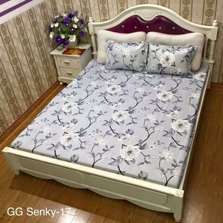Bộ ga gối cotton poly chun m8