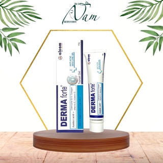 Gel giảm mụn thâm derma forte 15g