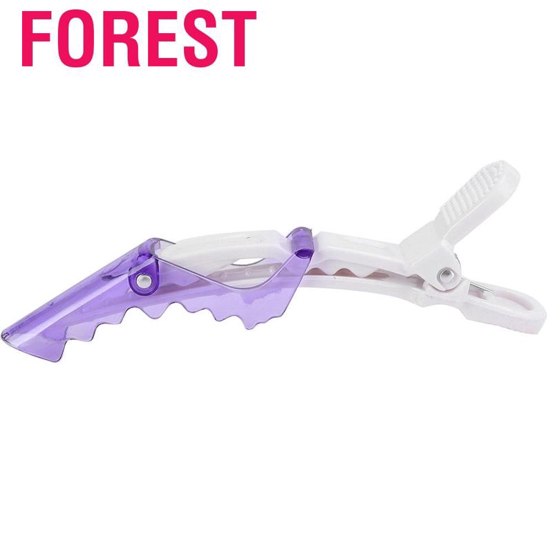 Set 10 kẹp tóc mỏ vịt chuyên dụng dành cho salon