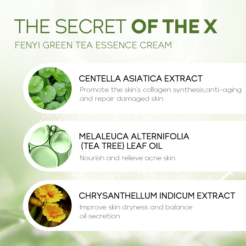 Kem dưỡng ẩm mặt Fenyi chiết xuất trà xanh 40g, Kem dưỡng ẩm phục hồi da trà xanh nuôi dưỡng sâu cho da hiệu quả