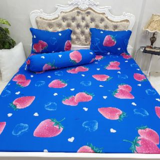 DRAP THUN HÀN QUỐC GIÁ HẤP DẪN