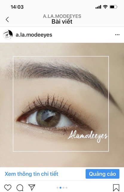 Lens nâu gỗ tây áp