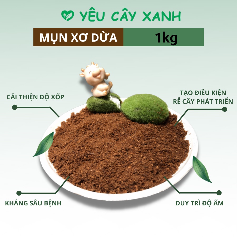 Xơ Dừa đã được xử lí túi 5dm3 ~ 1kg Giá thể giữ ẩm tăng độ tơi xốp cho Cây Cảnh, Rau Trồng giúp cây phát triển tốt.