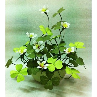 Hạt giống cỏ ba lá - 1 gói 50 hạt