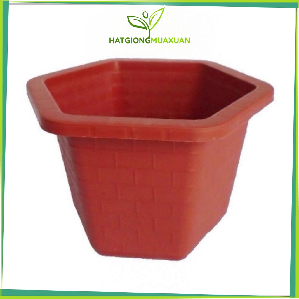 SET 5 chậu lục giác FA380 30x20cm trồng cây