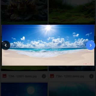 Tranh dán bể cá cảnh 3D