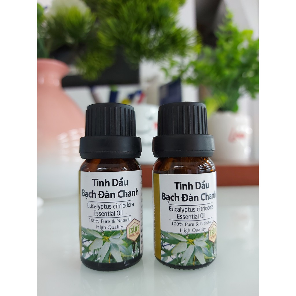 Tinh dầu bạch đàn chanh Eucalyptus Citriodora Essential Oil  | Thơm nhà đuổi muỗi côn trùng Eslife