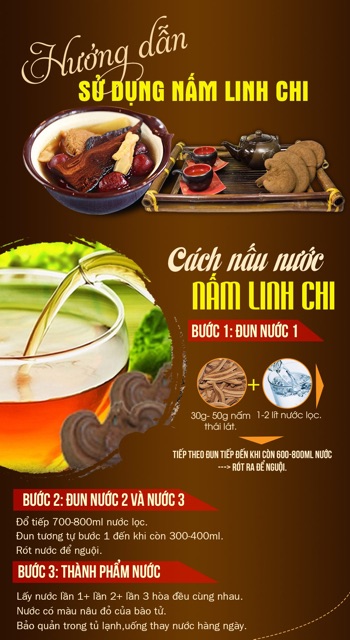 [GIÁ SỈ] Nấm Linh Chi KANA Cao Cấp Hàn Quốc