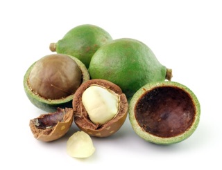 Hạt Macca