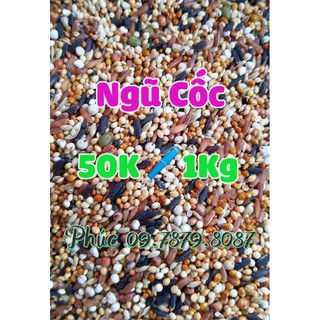 Ngũ Cốc Chim Cu Gáy