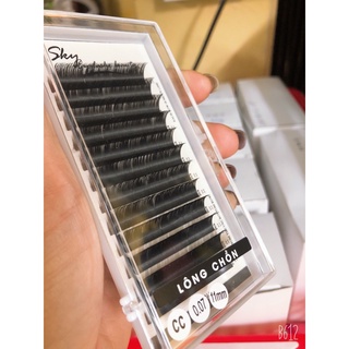 1 khay mi lông chồn độ cong D