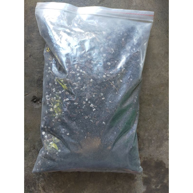 giá thể trồng lan trộn sẳn 1kg