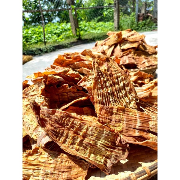 MĂNG MẦM BẢO LẠC CAO BẰNG