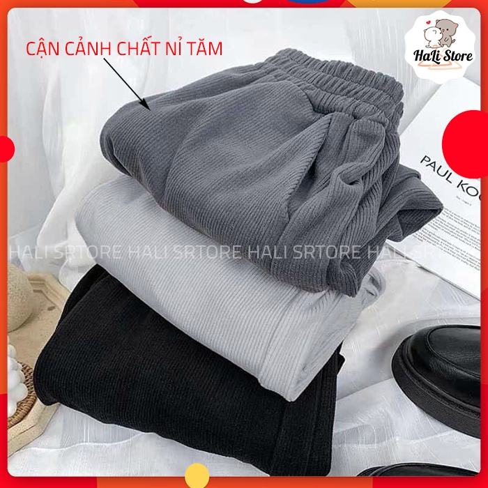 Quần nỉ tăm jogger nữ bo chun, quần nỉ tăm ống rộng nữ mặc thu đông