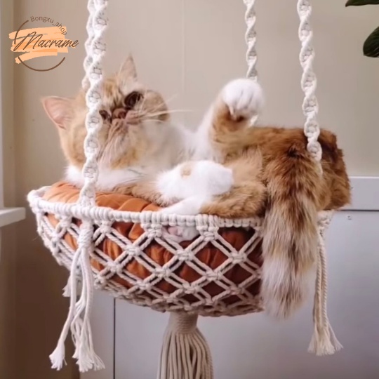 Đồ chơi cho mèo, Võng mèo, xích đu mèo macrame Bongxu_shop