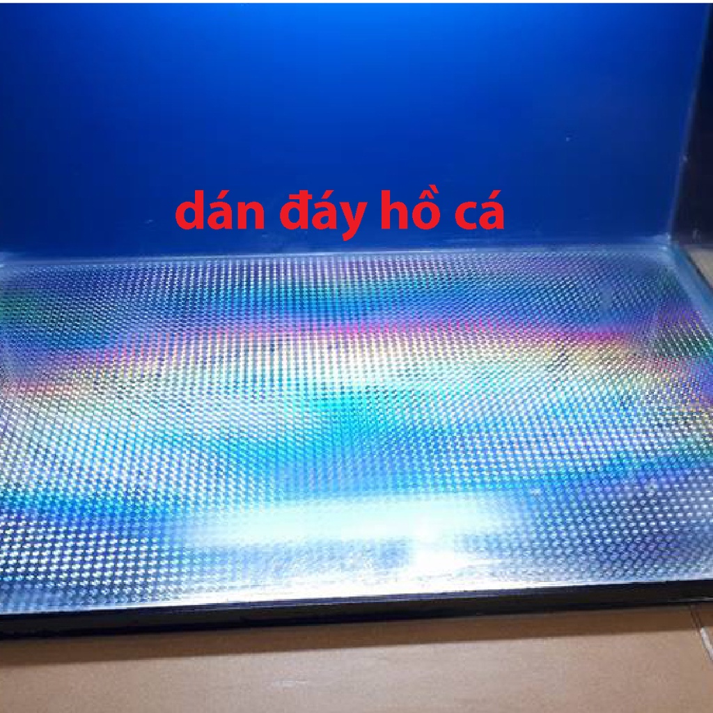 Decal 7 màu - Chuyên dùng dán đáy hồ show cá, hồ cá cảnh, trang trí, dán đồ handmade.. Khổ 60cmx 100cm