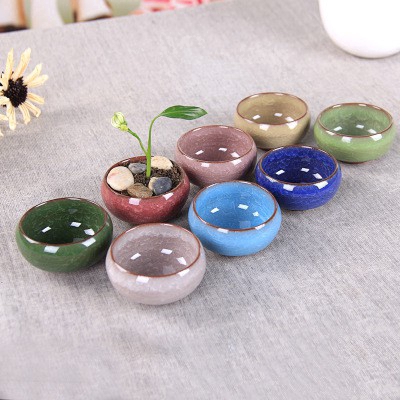 Chậu trồng cây cảnh mini bằng gốm láng bóng