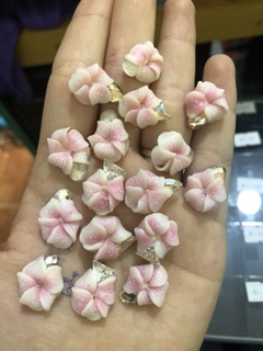 Hoa nhà e . Chụp hơi dìm tí