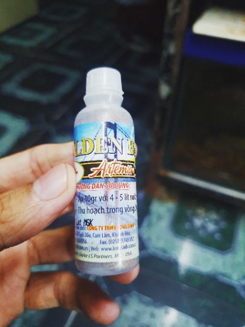 COMBO BỘ ẤP VÀ 10G ARTEMIA ẤP MỸ CHO CÁ