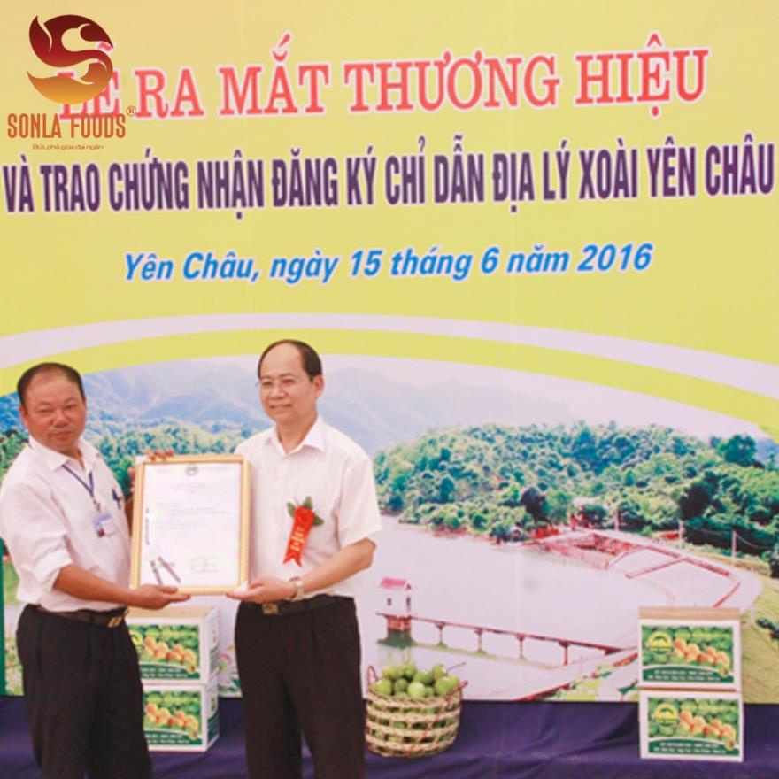 Xoài sấy dẻo - Đặc sản Yên Châu, Sơn La