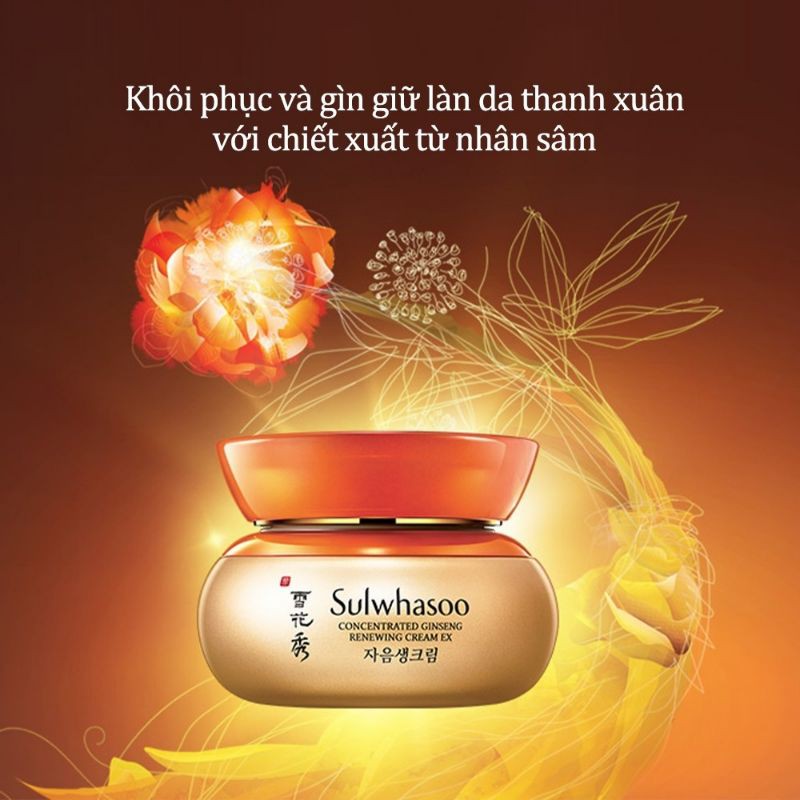 [No box]Kem dưỡng Nhân Sâm ngăn ngừa lão hóa Sulwhasoo Concentrated Ginseng Renewing Cream Ex (5ml)