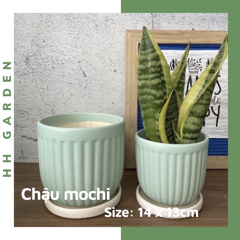 Chậu Mochi kẻ sọc, Size to 14*13cm, chậu trồng cây để bàn gốm sứ Bát Tràng