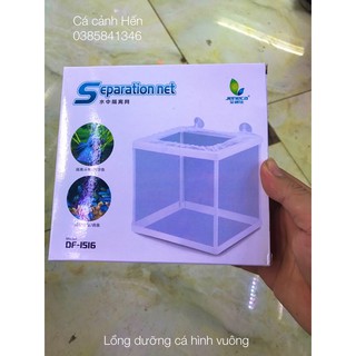 Lồng vải hình vuông dưỡng- tách cá . Lồng vải tách cá mẹ bầu tránh ăn cá con