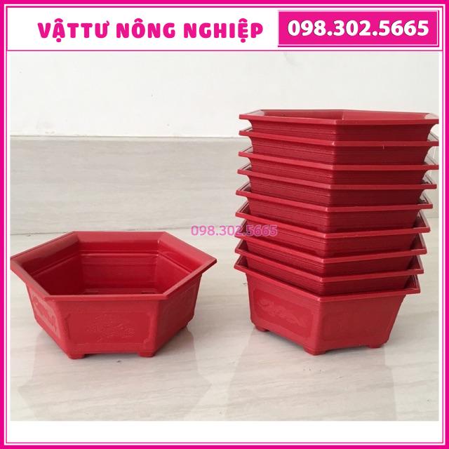 Combo 5 chậu nhựa lục giác miệng 28cm