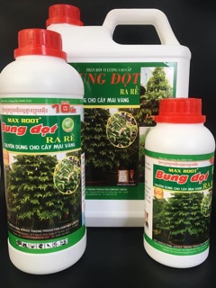 BUNG ĐỌT RA RỄ MAI VÀNG - 500ml