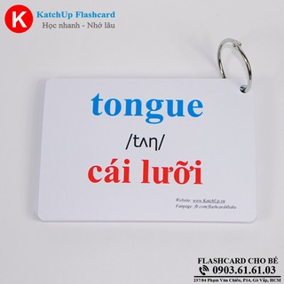 Flashcard tiếng Anh cho bé KatchUp - Cơ thể
