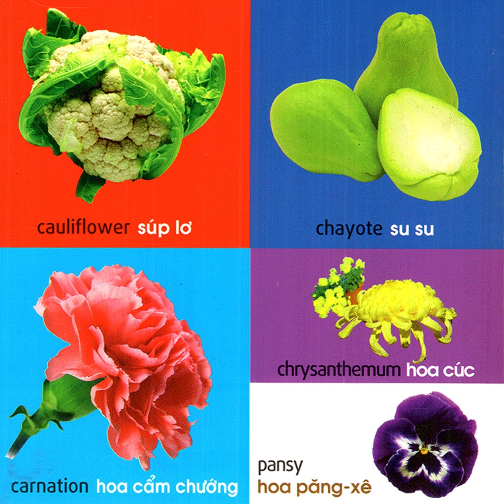 Sách - 101 First Words - Plants (101 Từ Đầu Tiên - Thực Vật)