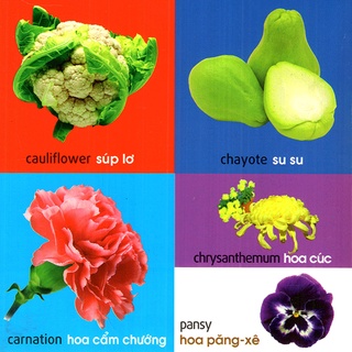Sách - 101 First Words - Plants (101 Từ Đầu Tiên - Thực Vật)