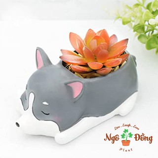 Chậu Cây Hình Chú Chó Nằm Ngủ Đáng Yêu Trồng Sen Đá Xương Rồng Cây Cảnh Mini Quà Tặng Độc Lạ Trang Trí Văn Phòng