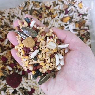 Thức ăn Hamster 500G [PET FOOD ONLINE]