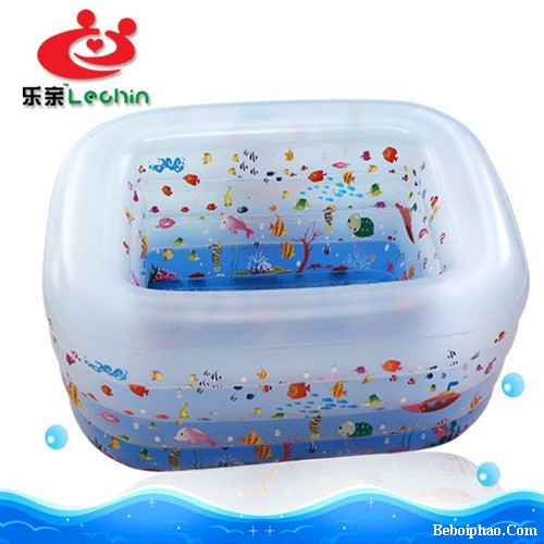 Bể bơi Lechin 6768
