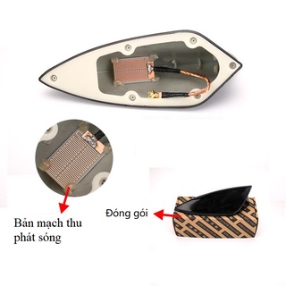 Anten vây cá mập có ăng ten bắt sóng