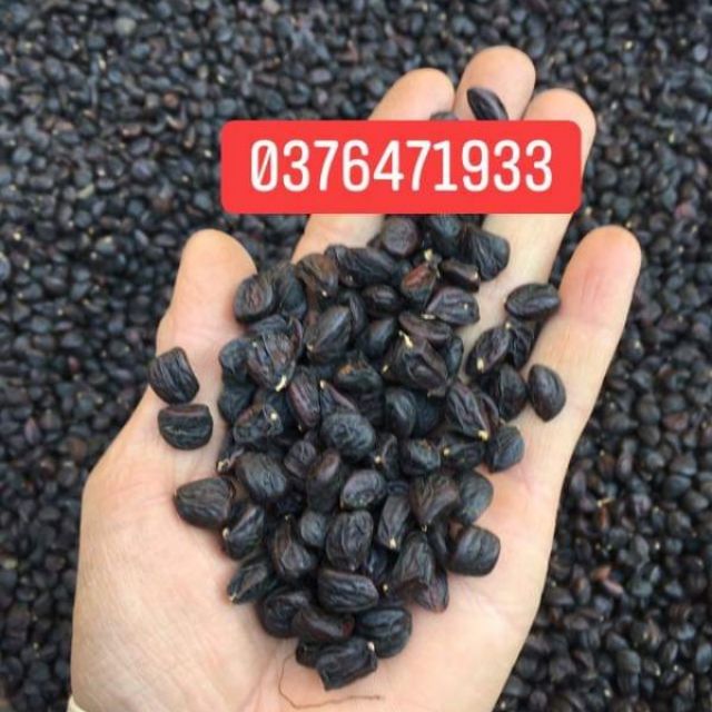 1KG HẠT DỔI NẾP LẠC SƠN HB