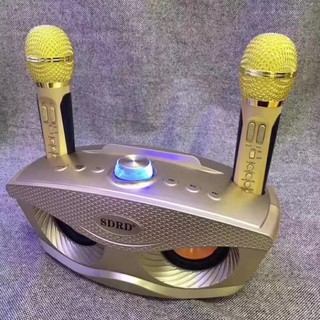 Loa Bluetooth karaoke SD-306 [HAY LẮM LUÔN ]