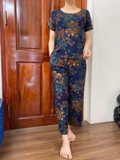 Bộ lanh nhung trung niên