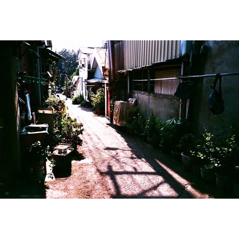 Film dương bản Dyna Ex 100