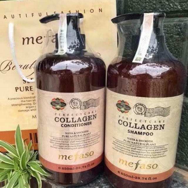 Cặp dầu gội colagen Mefaso