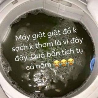VIÊN VỆ SINH MÁY GIẶC
