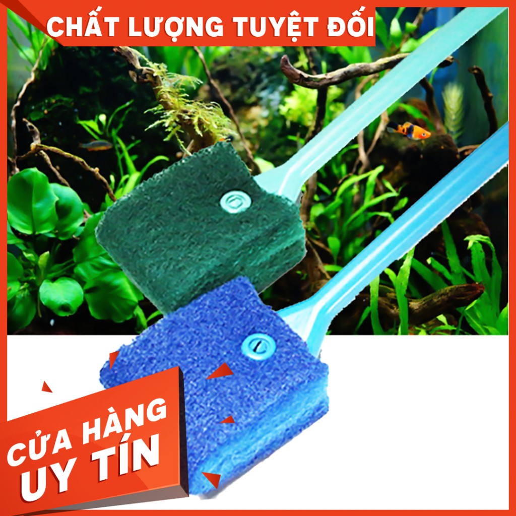 Lau Kính Hồ Cá - Dụng Cụ Vệ Sinh Lau Kiếng Bể Cá - Guppy Xanh