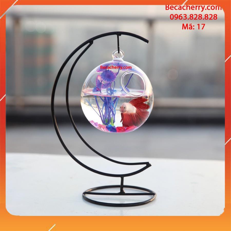 Bể cá mini cung trăng 17 ( tặng kèm phụ kiện trang trí ) | BigBuy360 - bigbuy360.vn